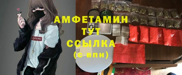 ПСИЛОЦИБИНОВЫЕ ГРИБЫ Алзамай